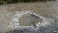 Bild: Hochwasser Achau